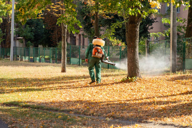Bird Control in Sheridan, IN